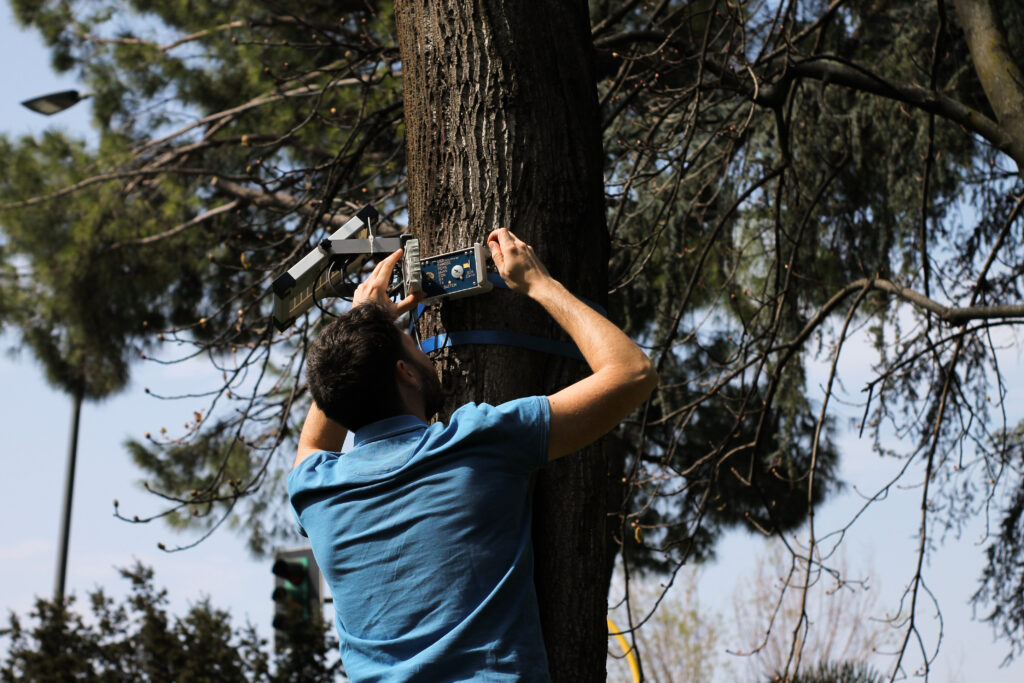Ricercatore visto di spalle che effettua dei rilievi sul fusto di un albero.
