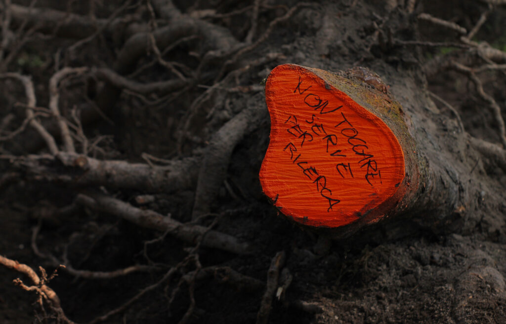 Ramo tagliato e tinto di rosso con la scritta "Non toccare serve per ricerca"